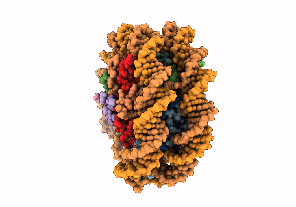 7R5R image