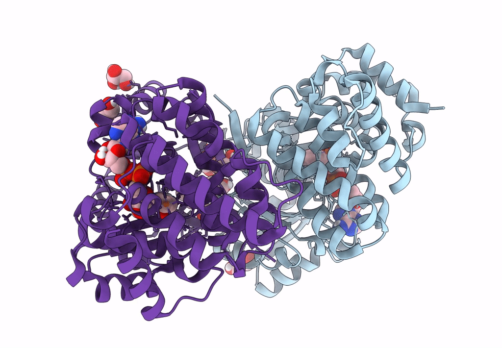 7R5T image