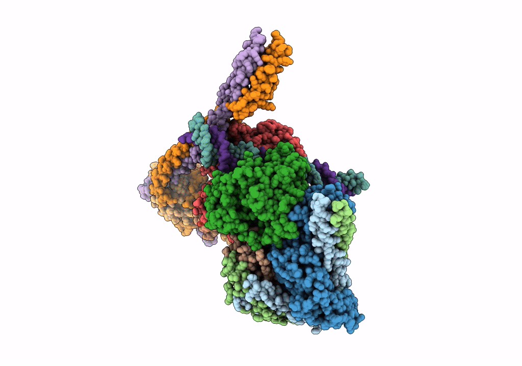 7R5V image