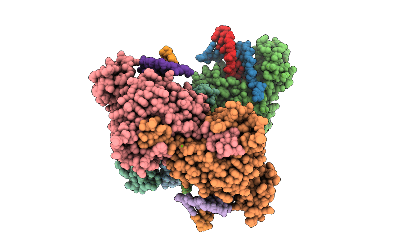 7R6V image