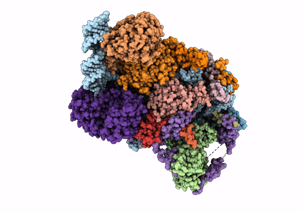7R72 image