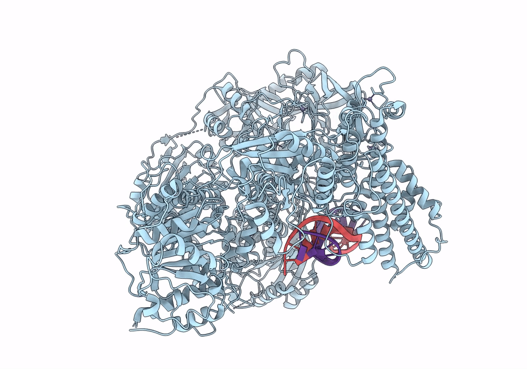 7R77 image