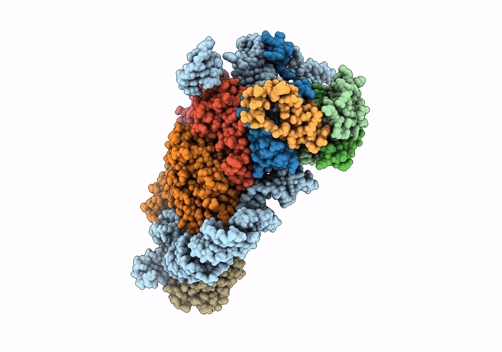 7R7C image