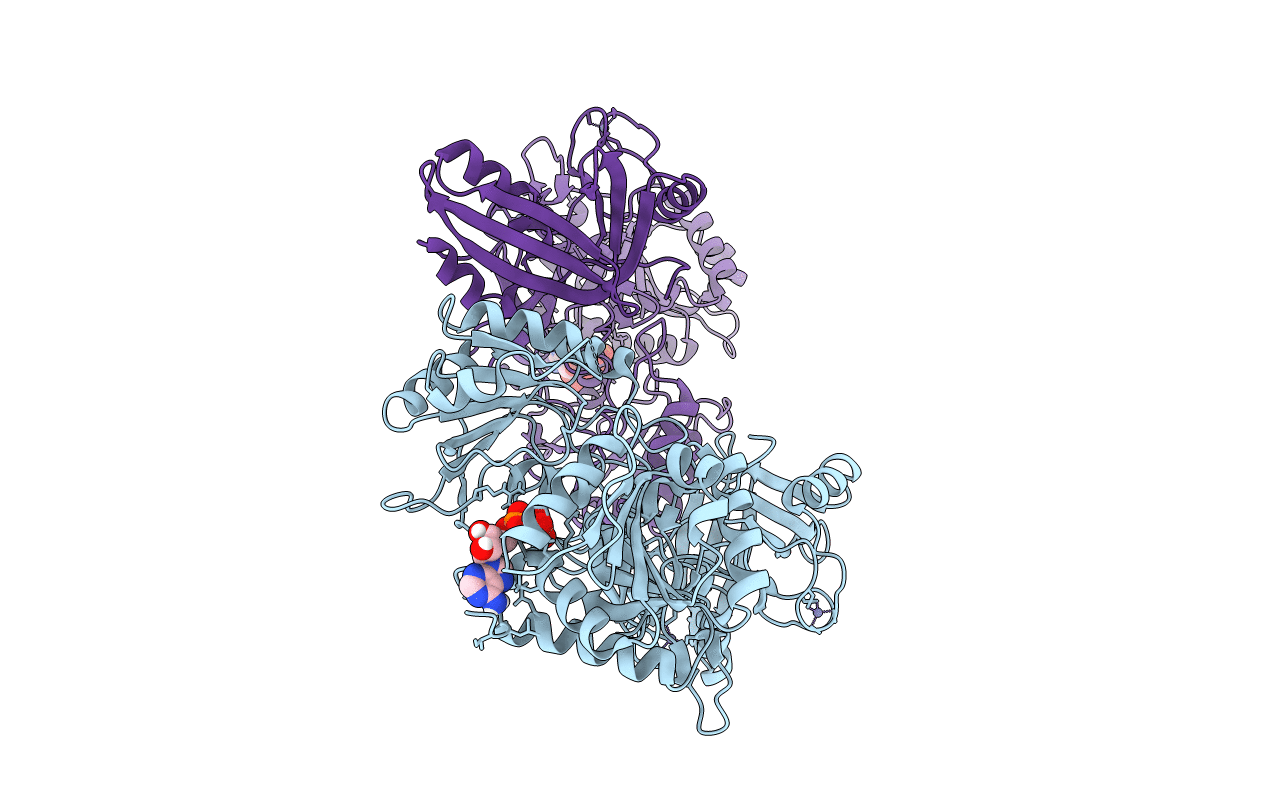 7R7J image