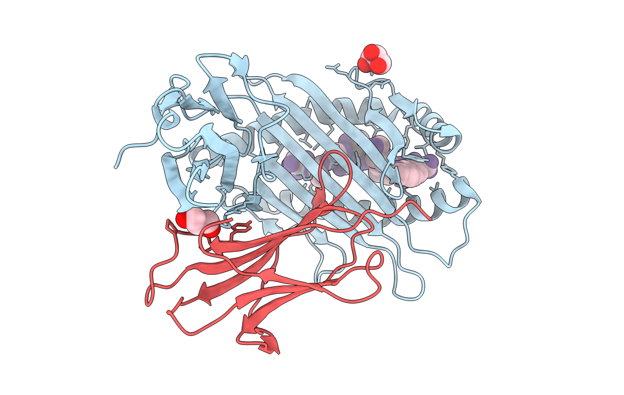 7R7V image