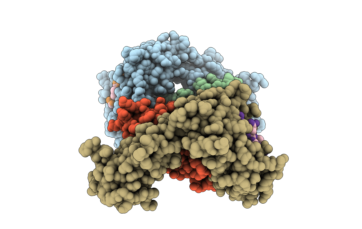 7R7X image