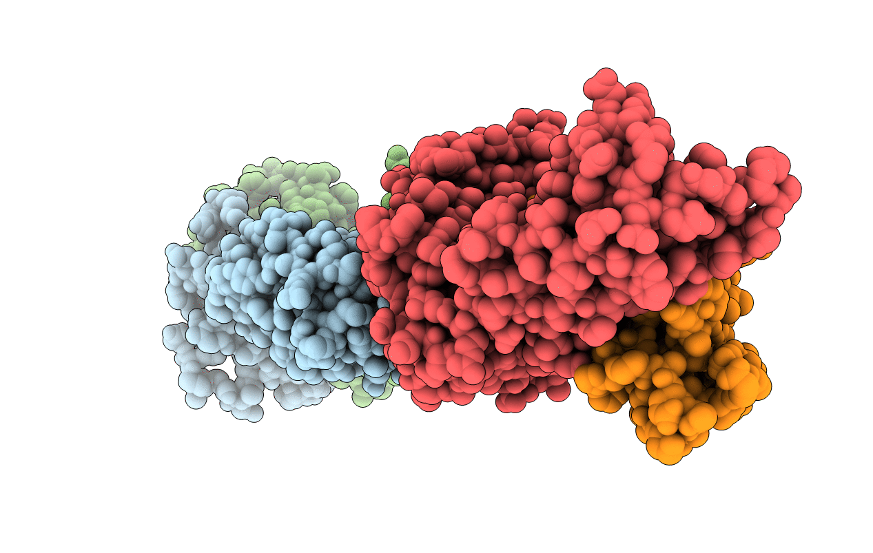 7R80 image