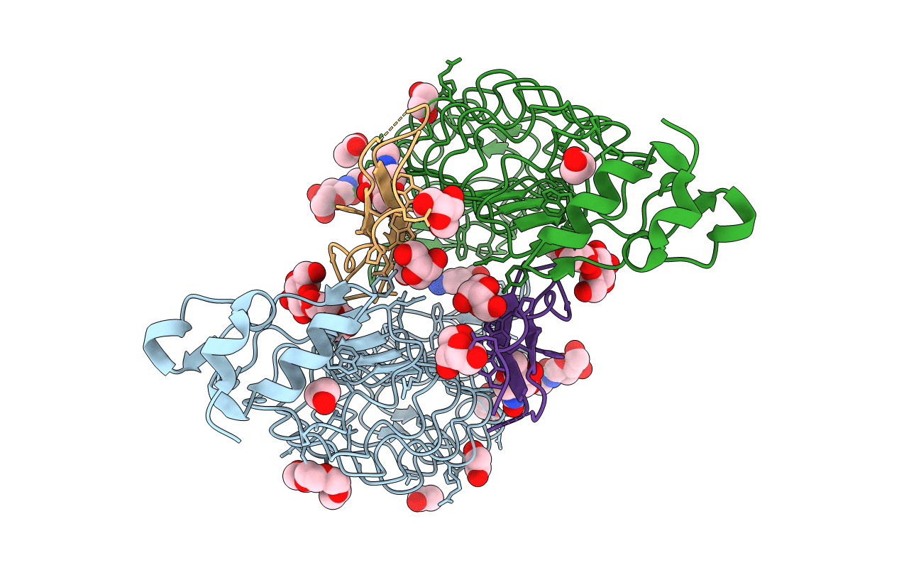 7R86 image