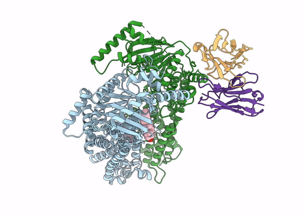 7R8B image