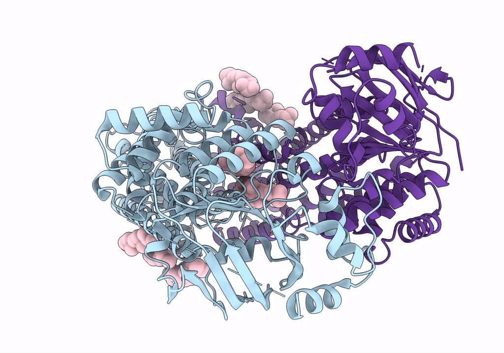 7R8D image