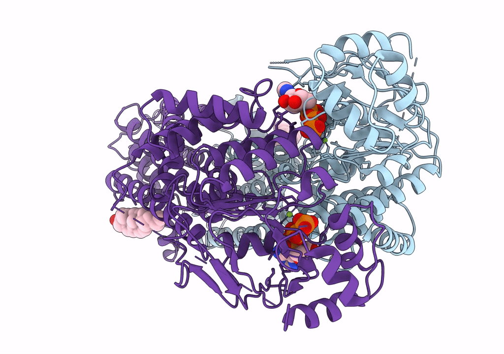 7R8E image