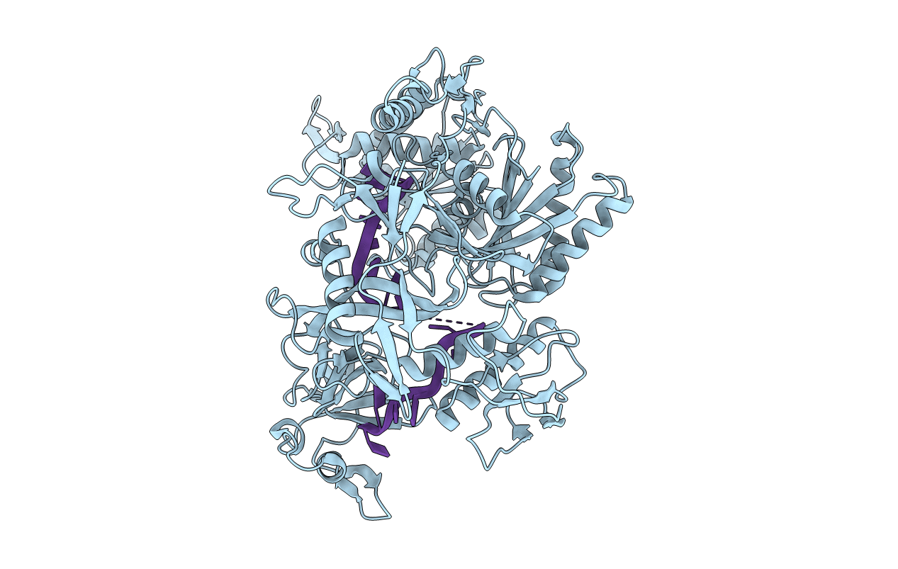 7R8G image