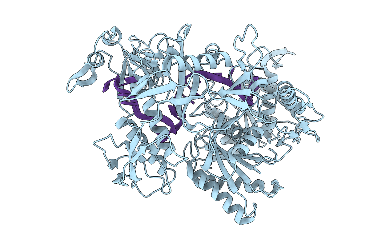 7R8H image