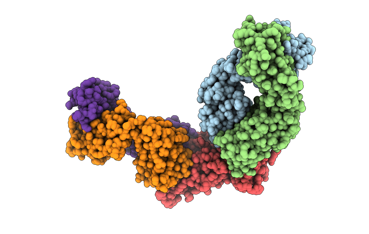 7R8L image