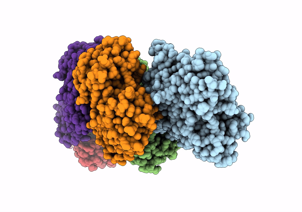 7R8V image