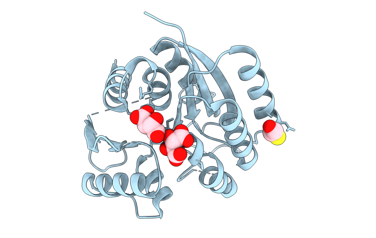 7R8Z image