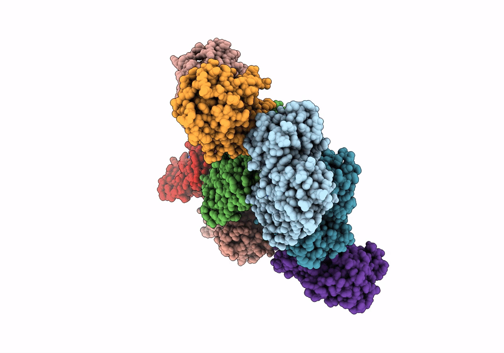 7R94 image