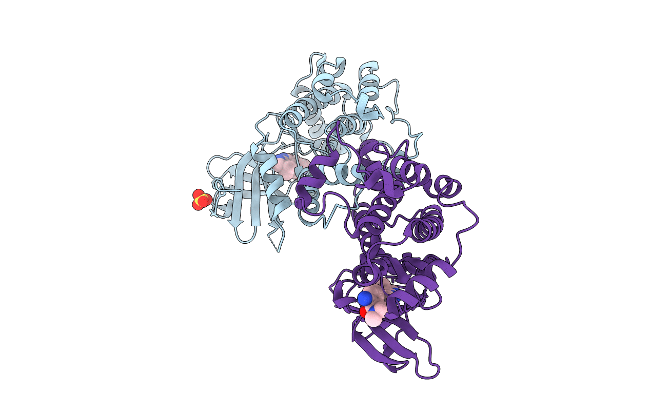 7R9P image