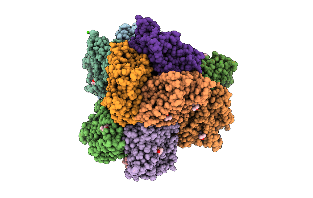 7RAC image