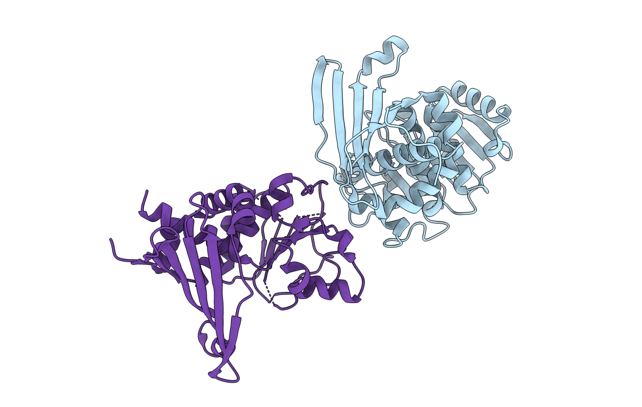 7RBP image