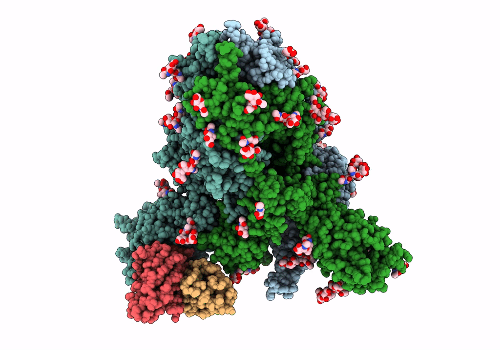 7RBV image