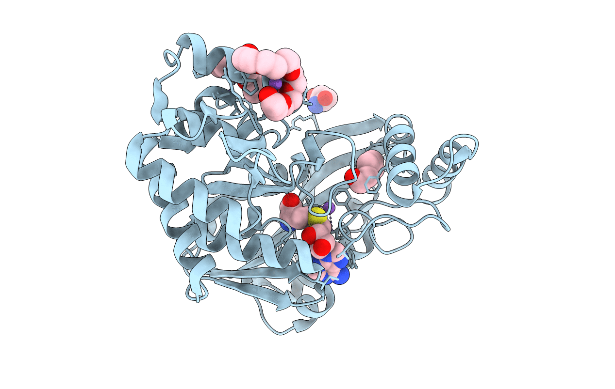 7RC3 image