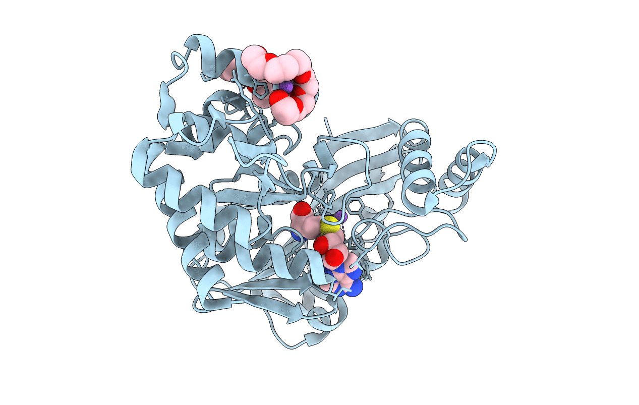 7RC4 image