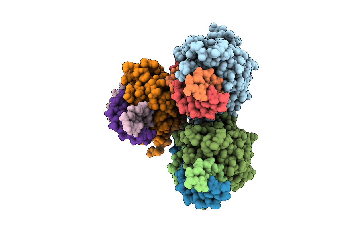 7RCC image