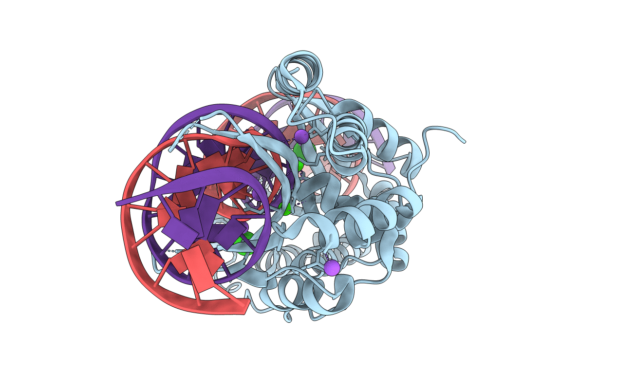 7RCG image