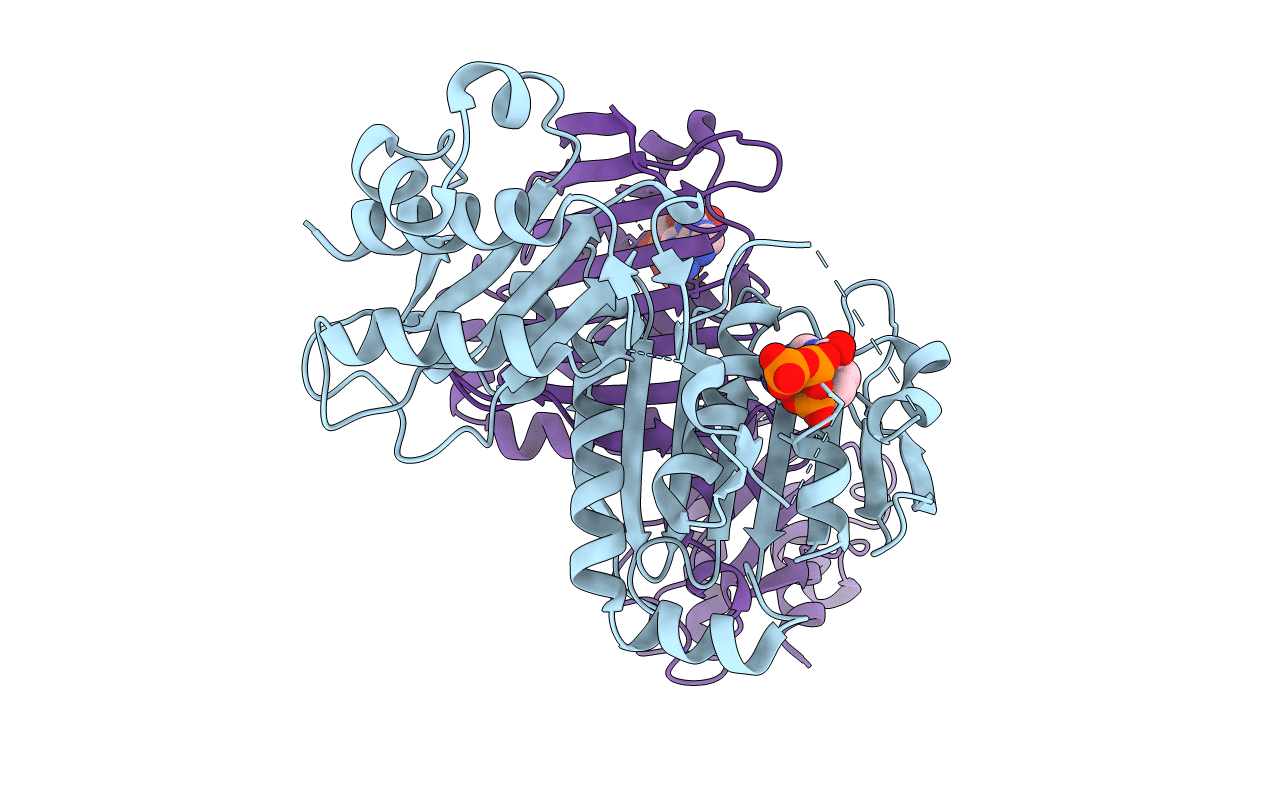 7RCI image