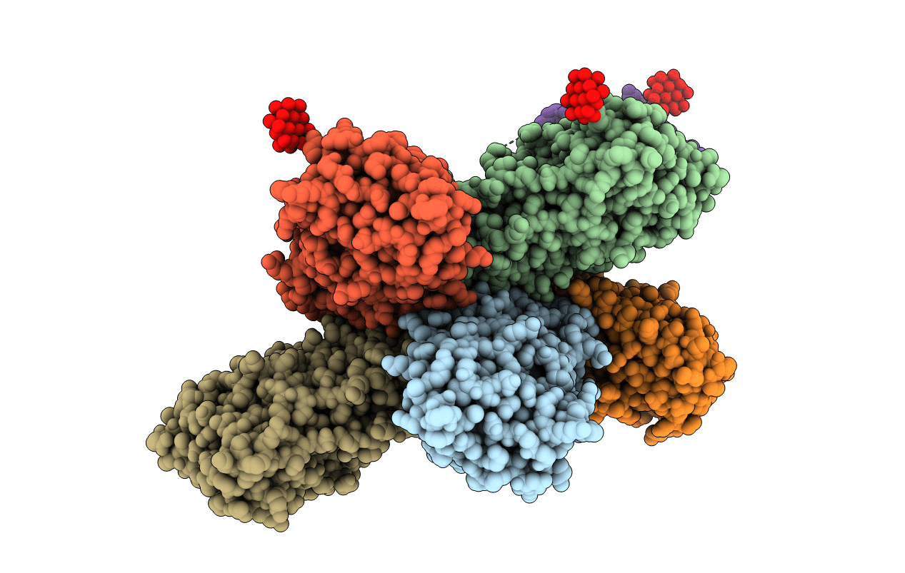 7RCJ image