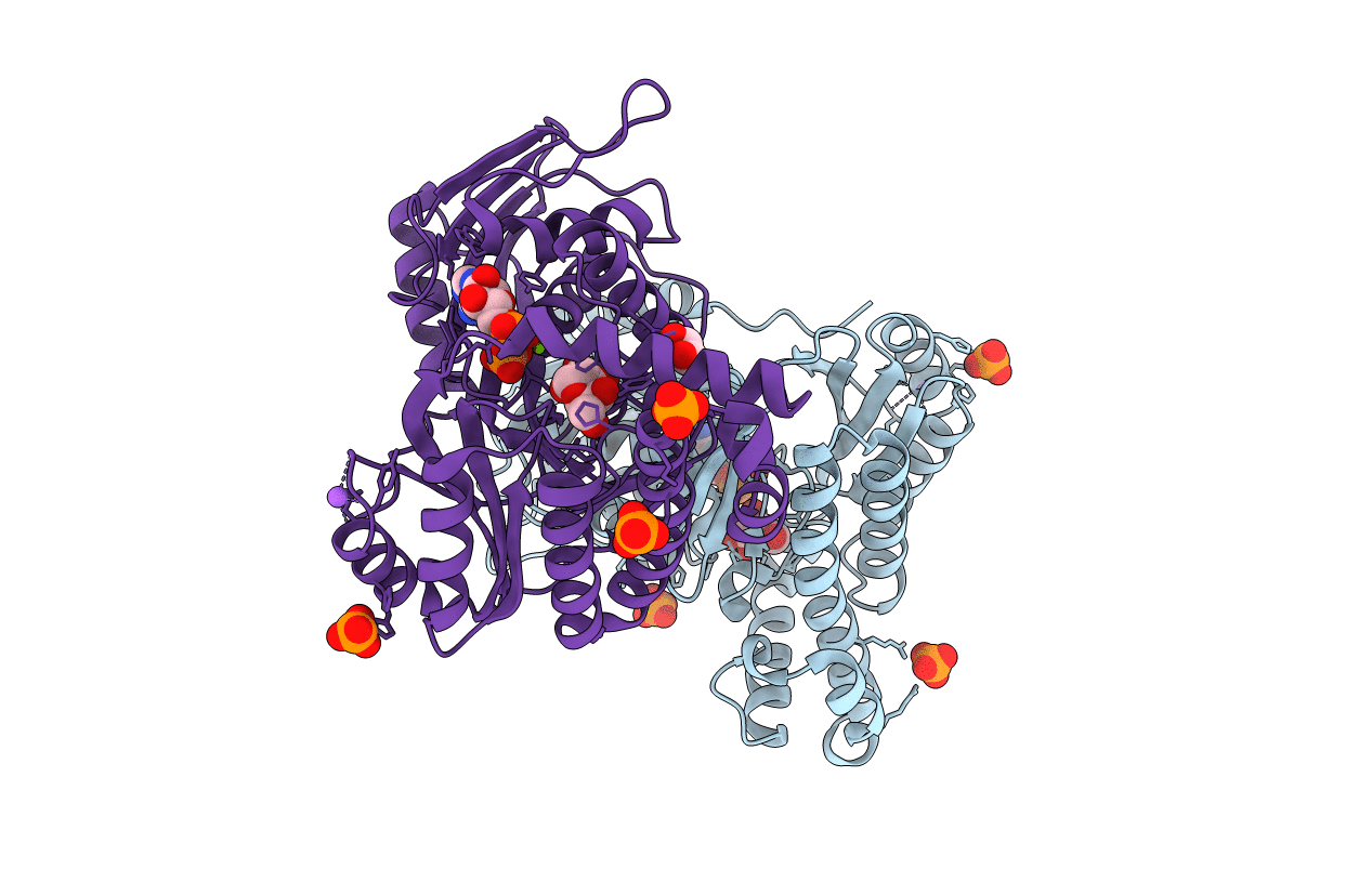 7RCM image