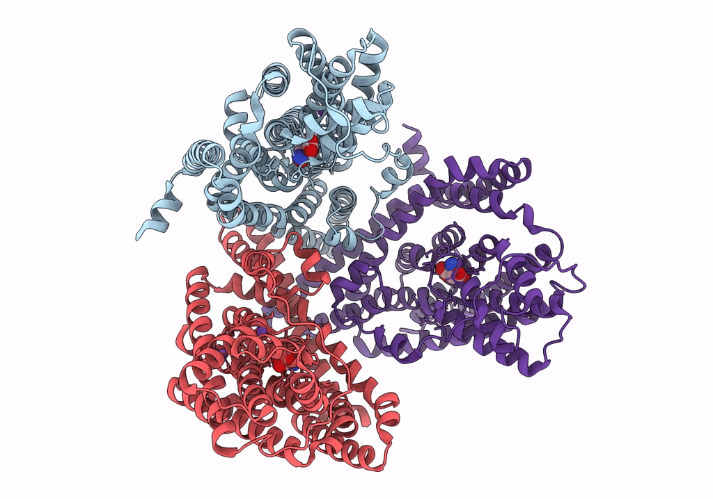 7RCP image