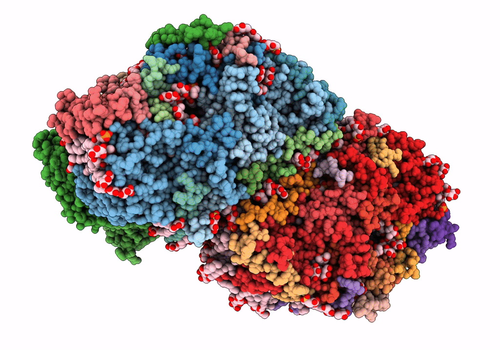7RCV image