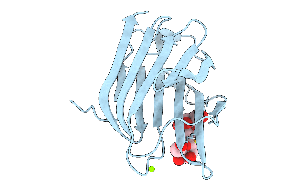 7RDO image