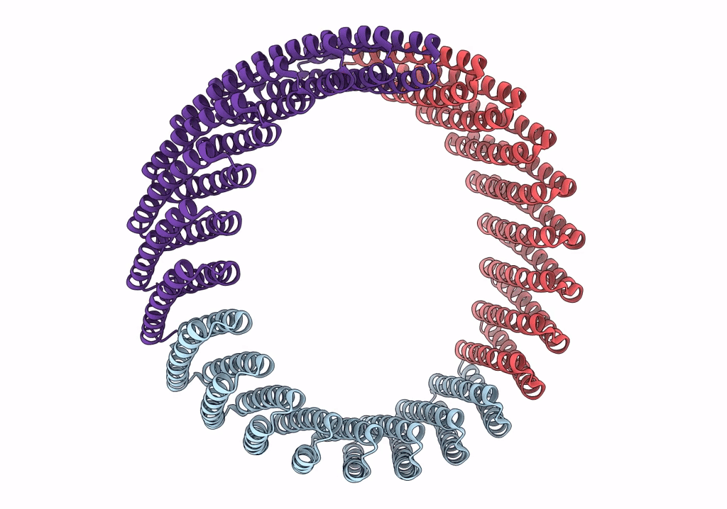 7RDR image