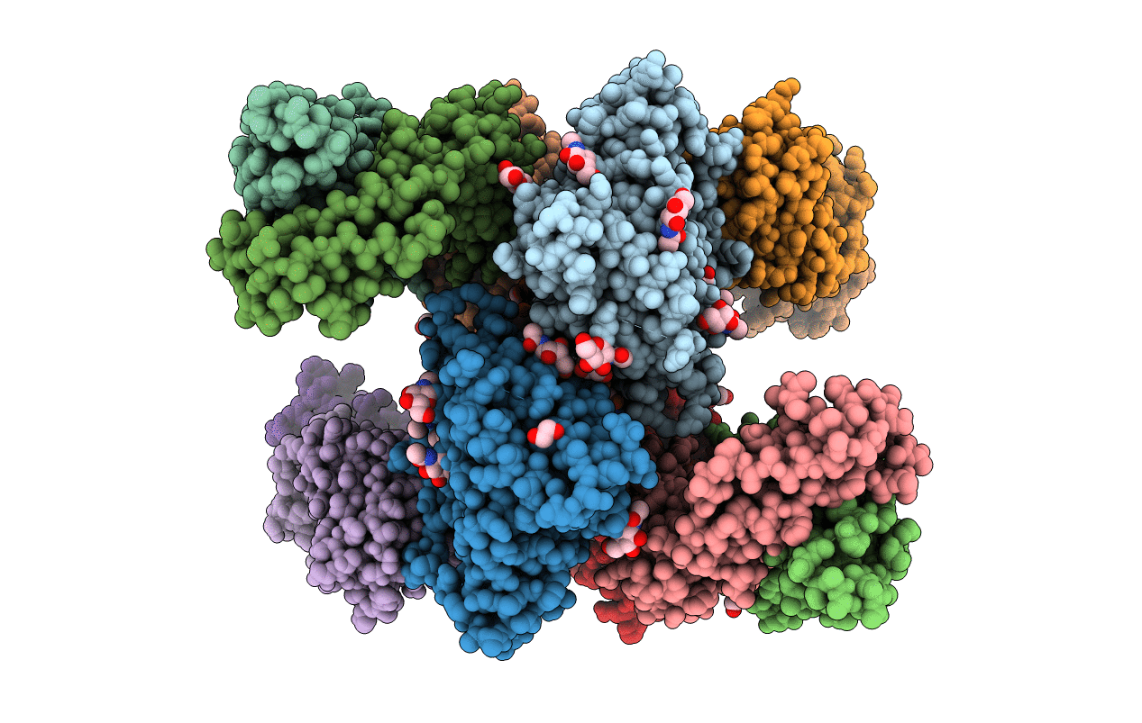 7RDW image
