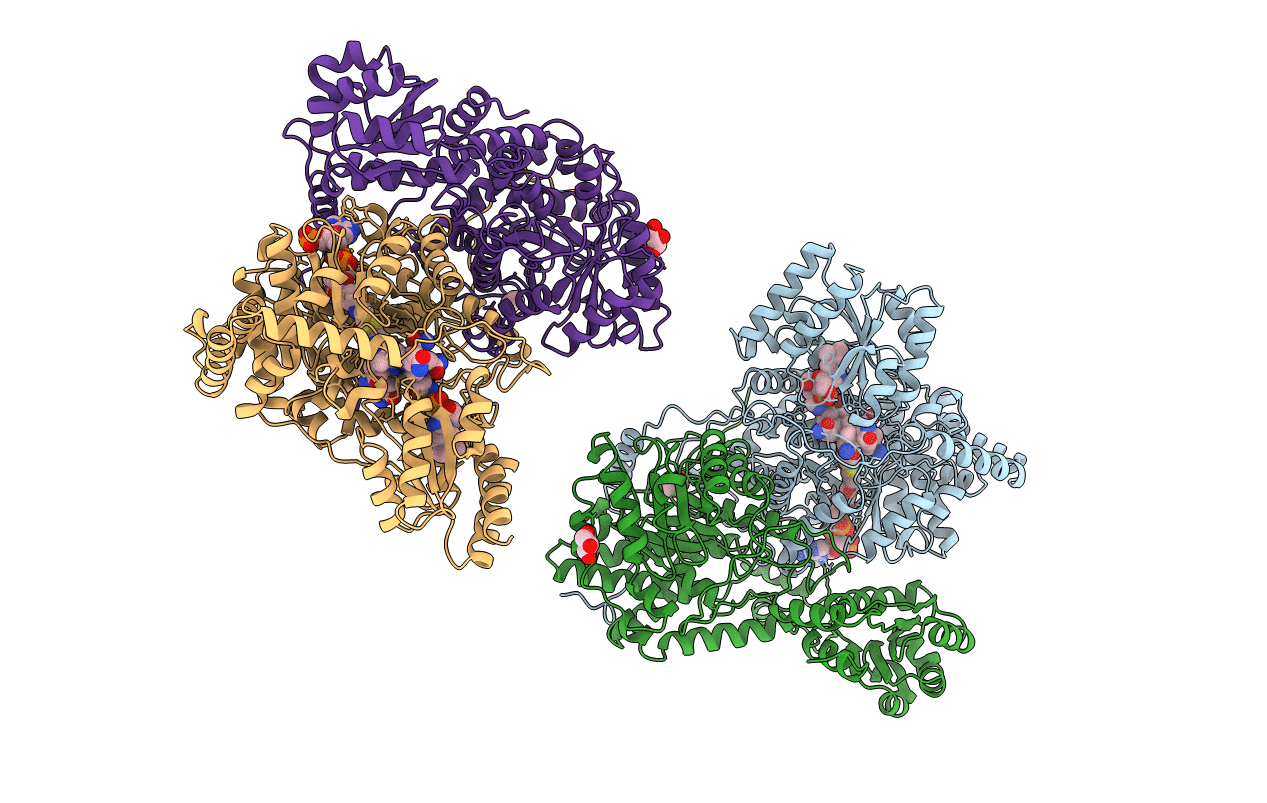 7REQ image