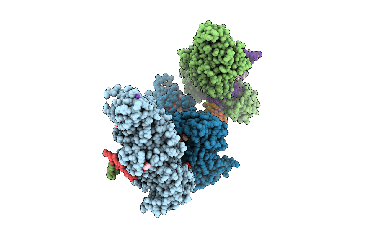 7RFL image
