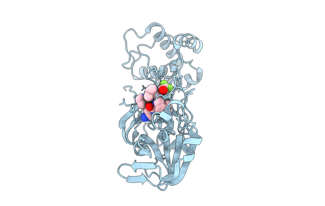 7RFS image