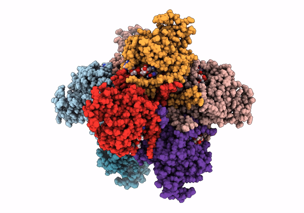 7RGI image