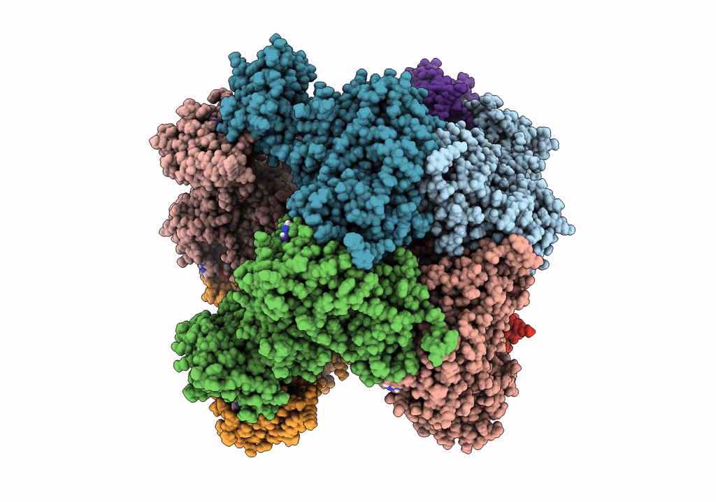 7RGM image