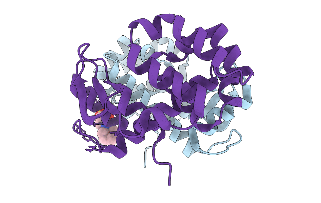 7RGR image