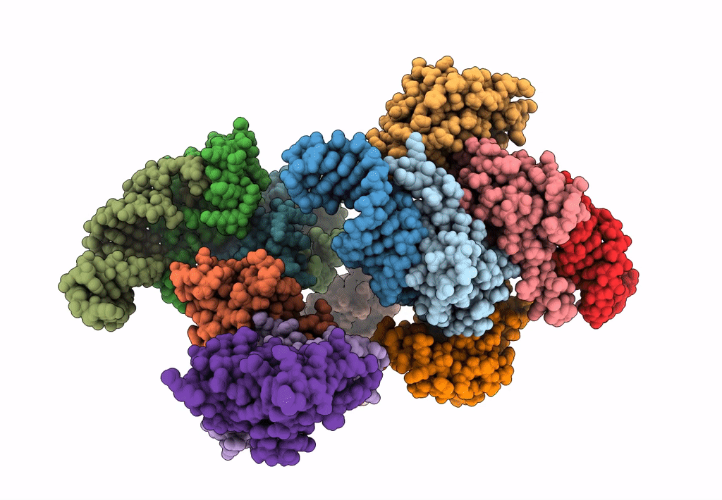 7RGU image