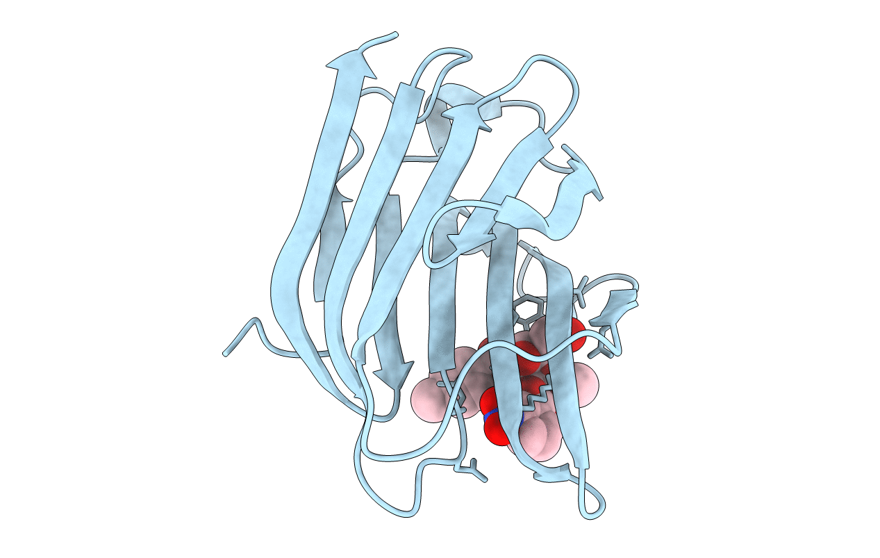 7RH1 image