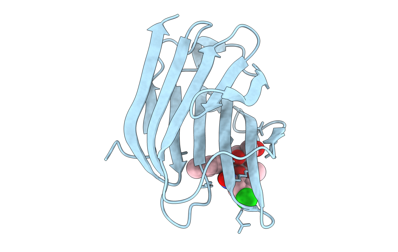 7RH3 image