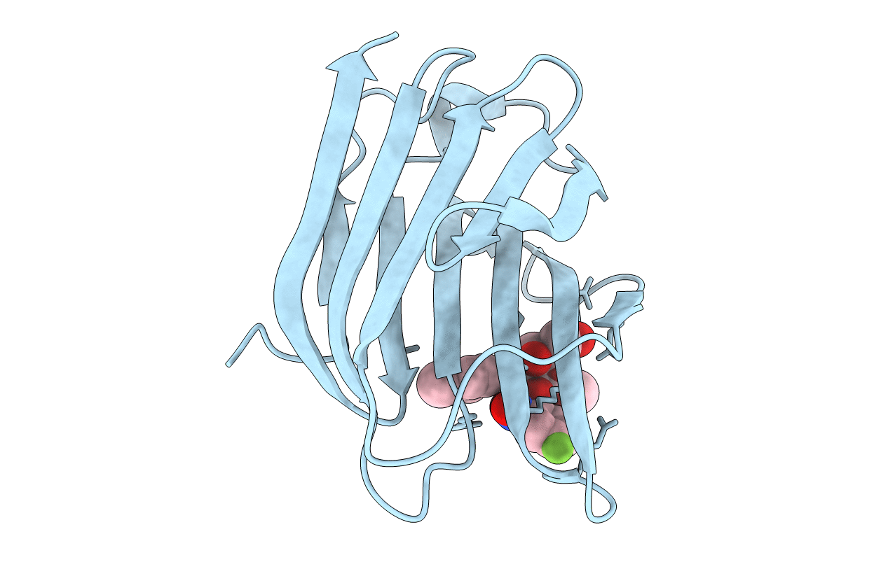 7RH4 image