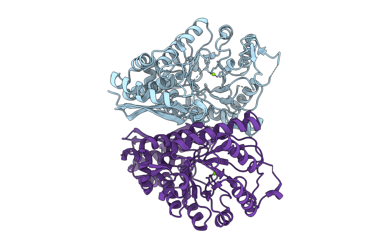 7RHV image