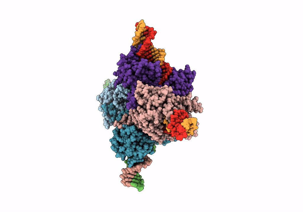 7RHX image
