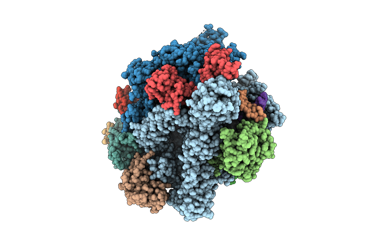 7RIX image